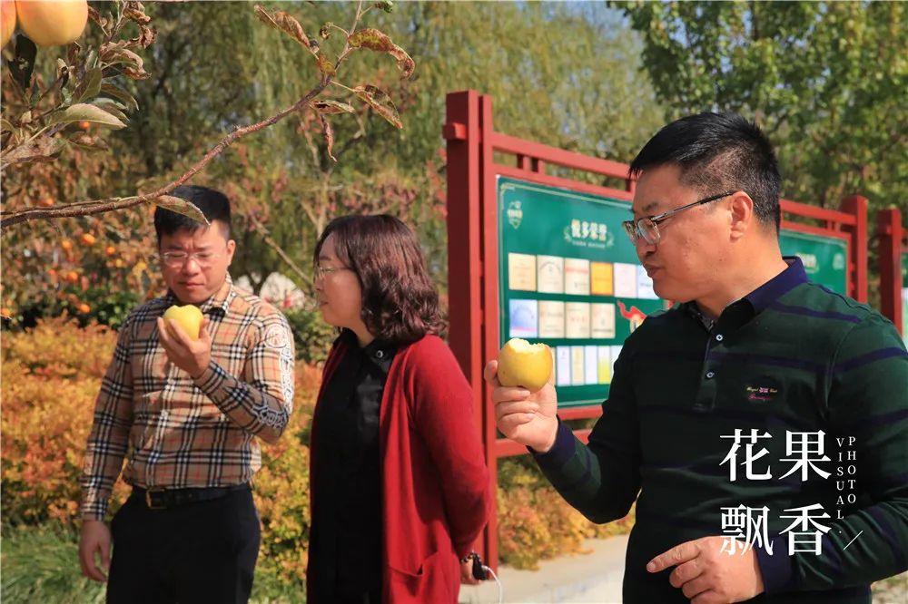 一箱顶三箱，水果品牌运营如何才能挣回9位数的投资？