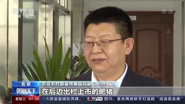 生猪养殖总体告别亏损！不过官方预计猪肉价格继续大幅上涨可能性不大