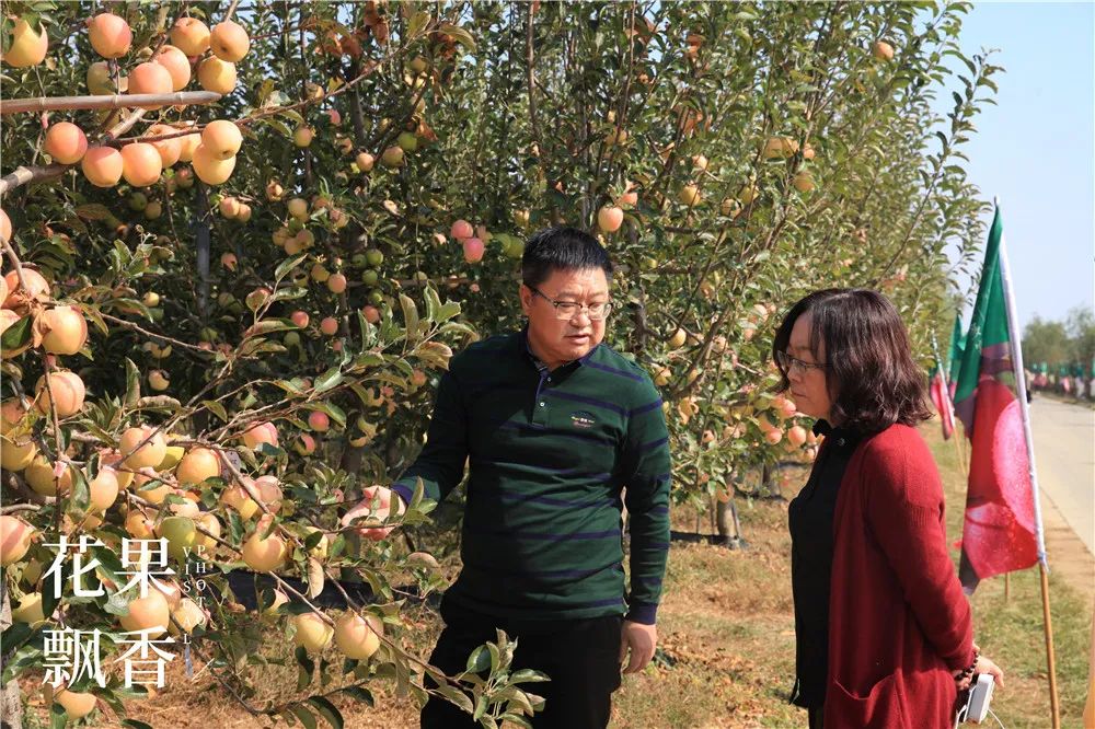 一箱顶三箱，水果品牌运营如何才能挣回9位数的投资？