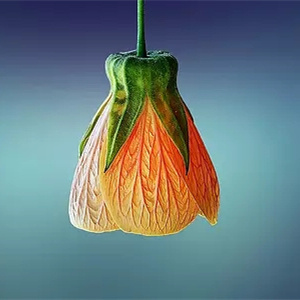 全城寻味·鲜动厨房！坝上鲜冲击你的味蕾，征服你吃货的心！