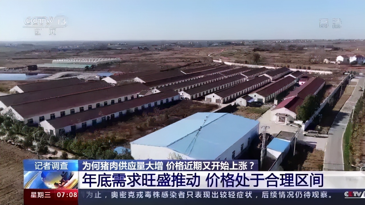 生猪养殖总体告别亏损！不过官方预计猪肉价格继续大幅上涨可能性不大
