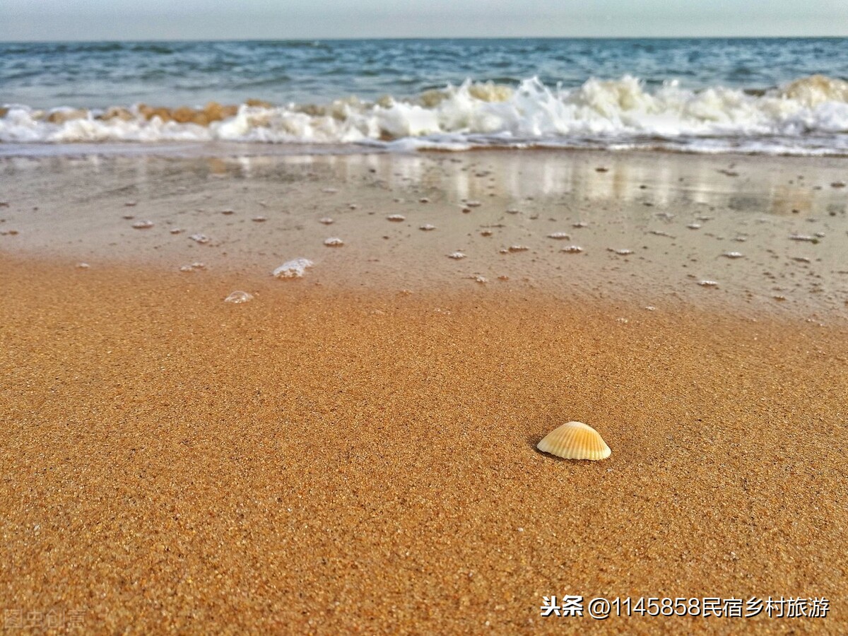 辽宁东戴河哪里能赶海又有美食？杨家小院的海鲜大咖绝对能上榜