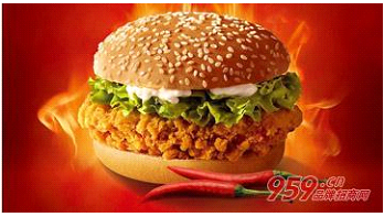 投资加盟拿度尼汉堡王怎么样？能赚钱吗？