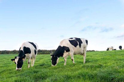 婴幼儿奶粉乳铁蛋白含量排行榜【TOP15位】