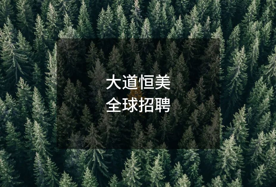 大道恒美招聘：文案策划师、视觉设计师、品牌推广、视频剪辑师