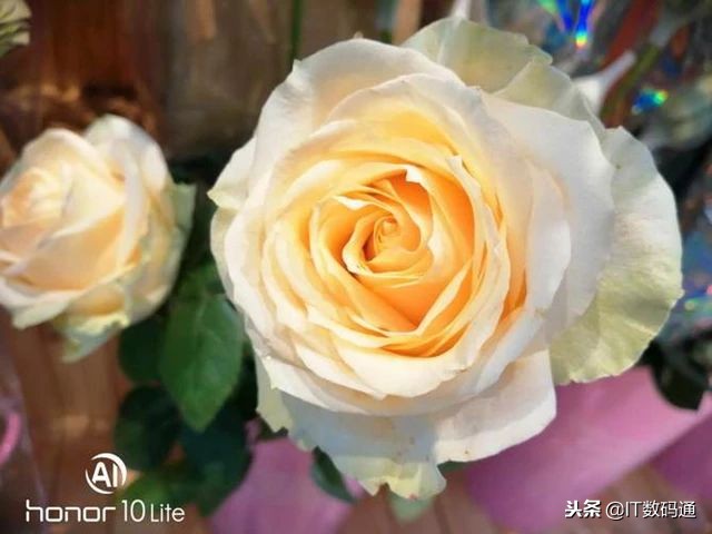 荣耀10青春版值得买吗？荣耀10青春版评测