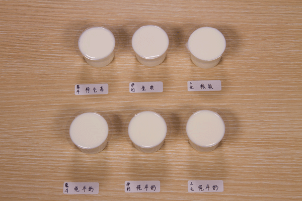 牛奶到底哪家强？18款中外品牌牛奶横评大比拼！