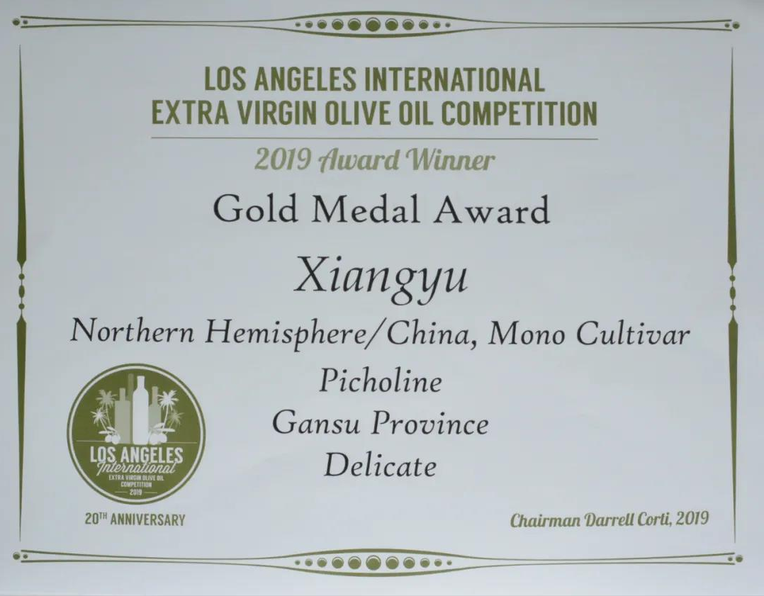 国际橄榄油金奖，来自中国甘肃，老外：没想到中国橄榄油这么好