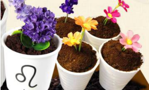 最具创意而得冰淇淋加盟 艺莎盆栽冰淇淋引领风尚