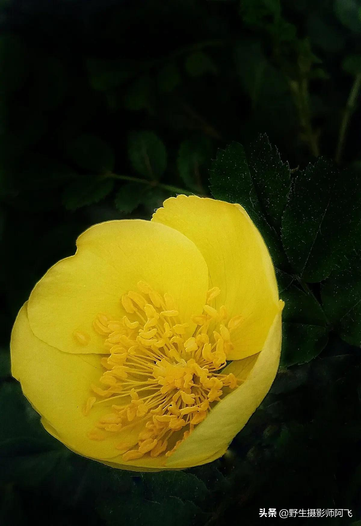 教你用这几款修图工具轻松做出高逼格照片