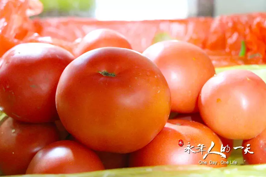 四年素食生活，80后小伙儿开创与众不同的事业｜永年人的一天51期