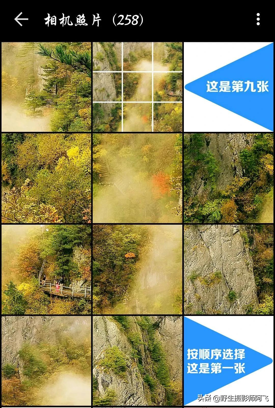 教你用这几款修图工具轻松做出高逼格照片