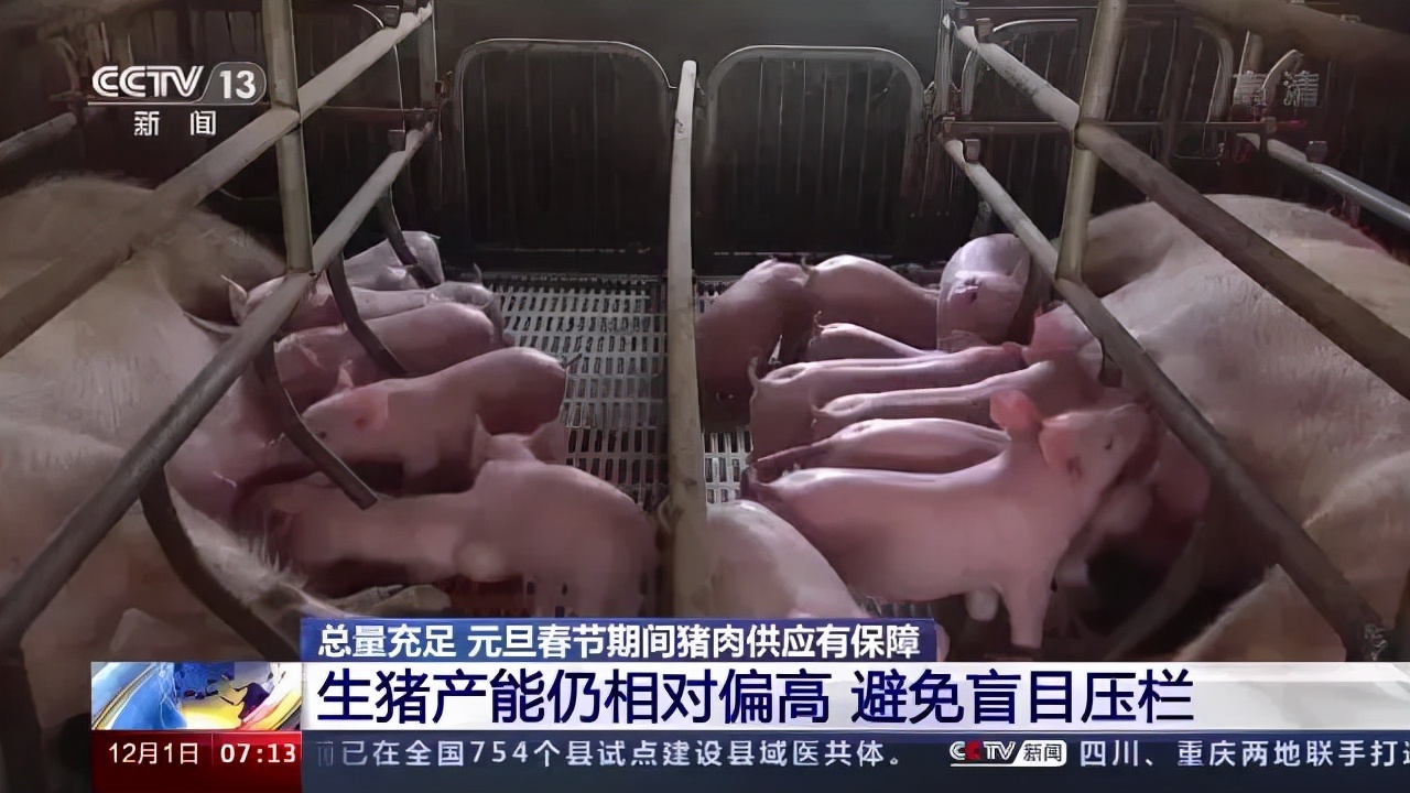生猪养殖总体告别亏损！不过官方预计猪肉价格继续大幅上涨可能性不大