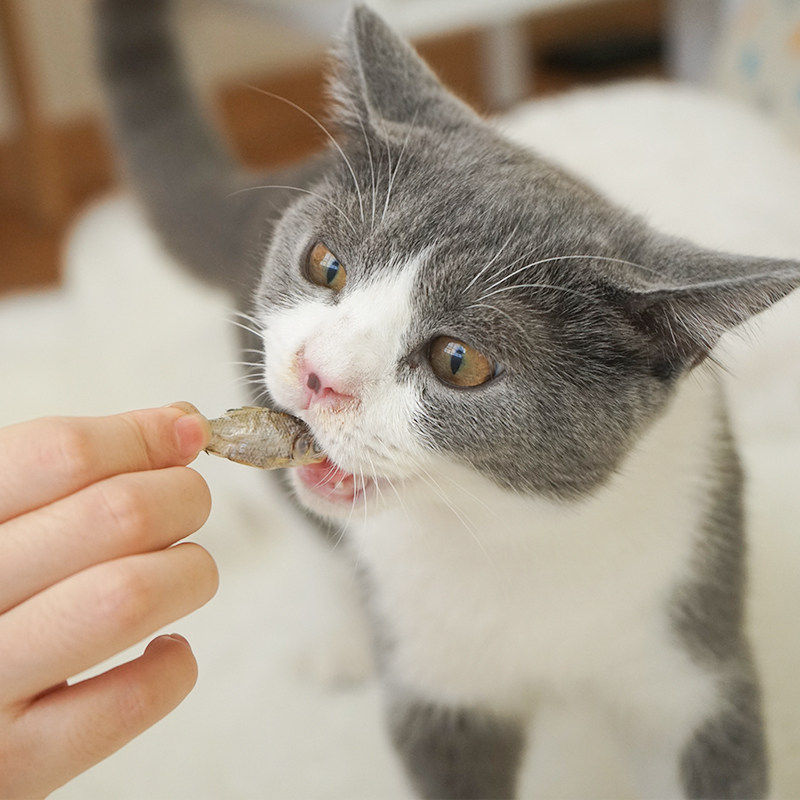 双11必囤的“猫零食”篇，看完记得收藏，帮你避开雷区