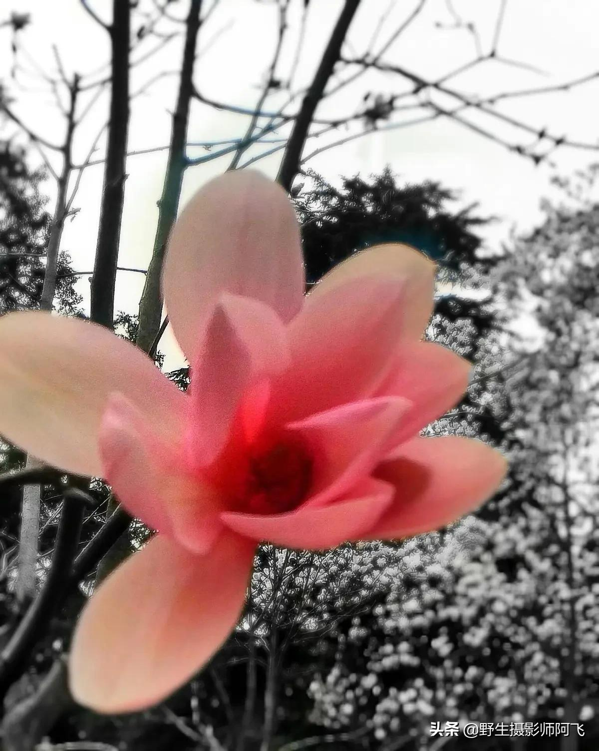 教你用这几款修图工具轻松做出高逼格照片