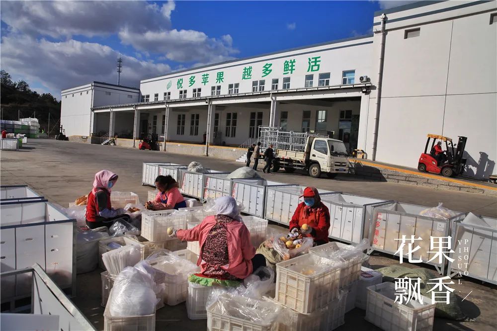 一箱顶三箱，水果品牌运营如何才能挣回9位数的投资？