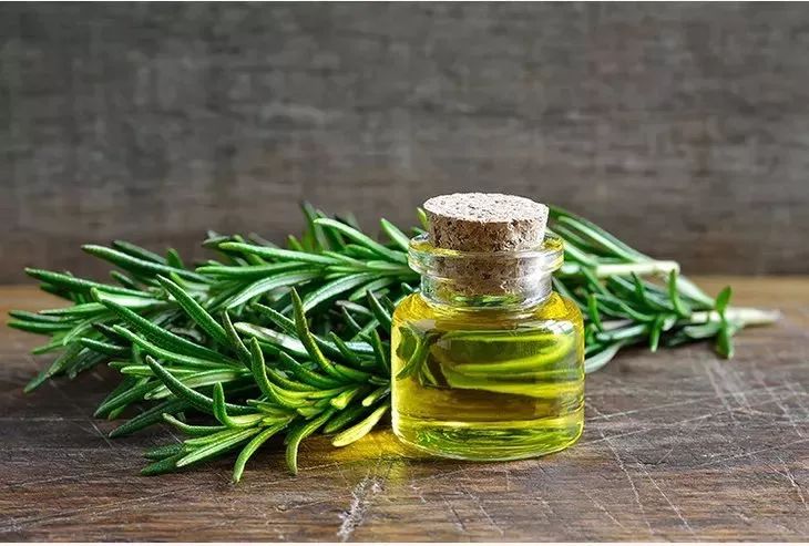 澎湃好物 | 一瓶含有迷迭香的洗发水，有多好用？