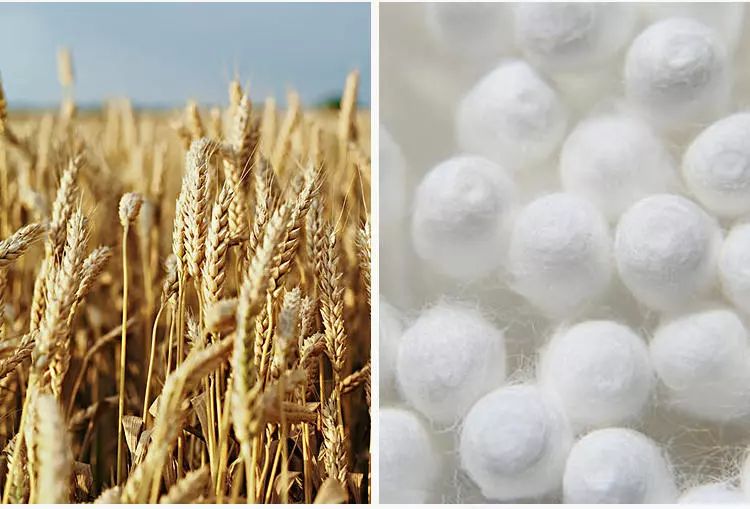 澎湃好物 | 一瓶含有迷迭香的洗发水，有多好用？