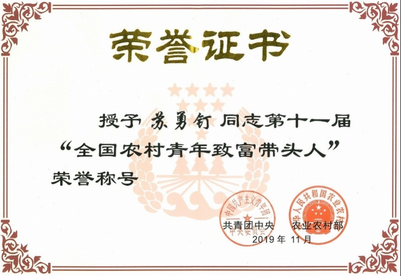 IT总裁回乡当青年农民，深大学子农村创业成致富带头人