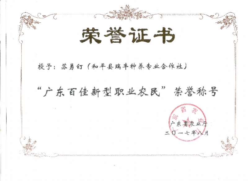 IT总裁回乡当青年农民，深大学子农村创业成致富带头人