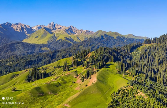 从Note到Mix 小米全系热门手机推荐