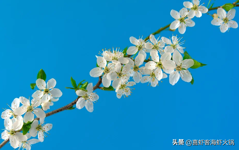 2021，在三四线开火锅店，餐饮老板一定牢记这三条“下沉铁律”