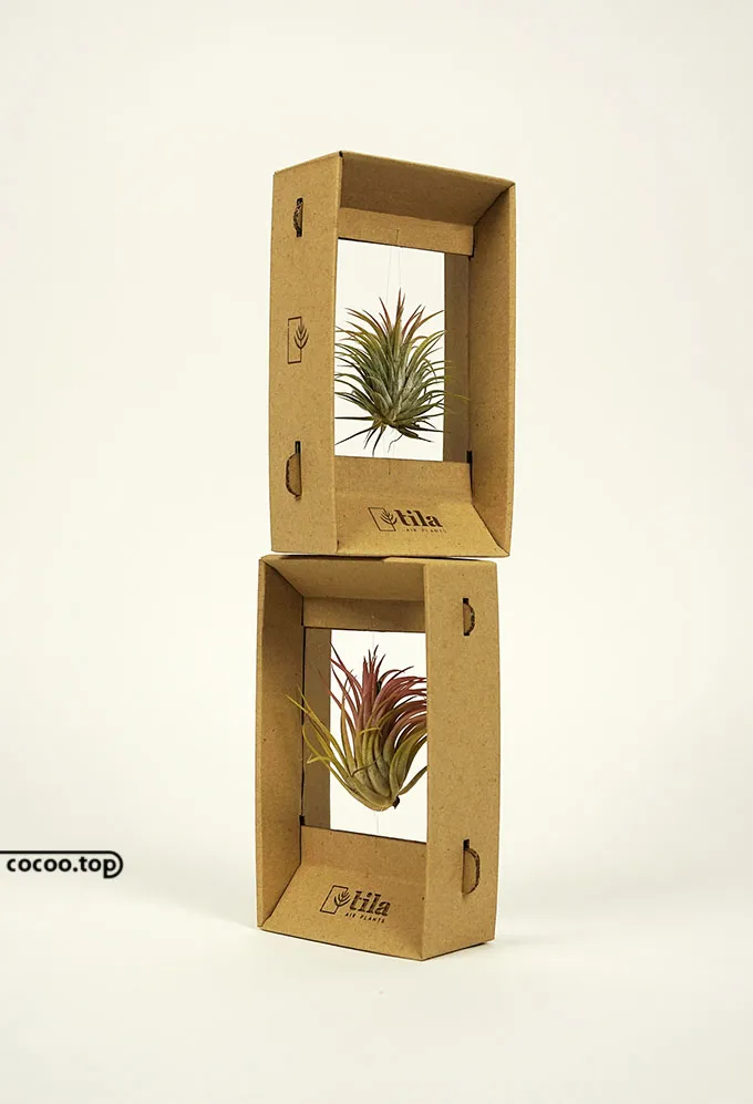 包装设计的基本原则