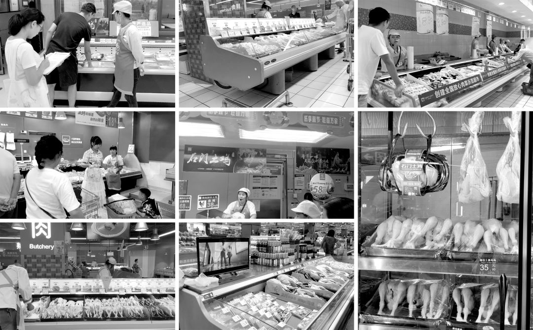 此山设计｜湘佳牧业品牌包装全案策划设计