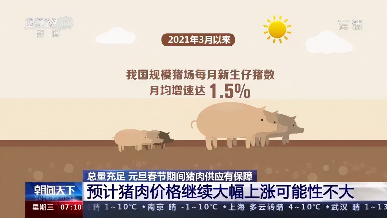 生猪养殖总体告别亏损！不过官方预计猪肉价格继续大幅上涨可能性不大