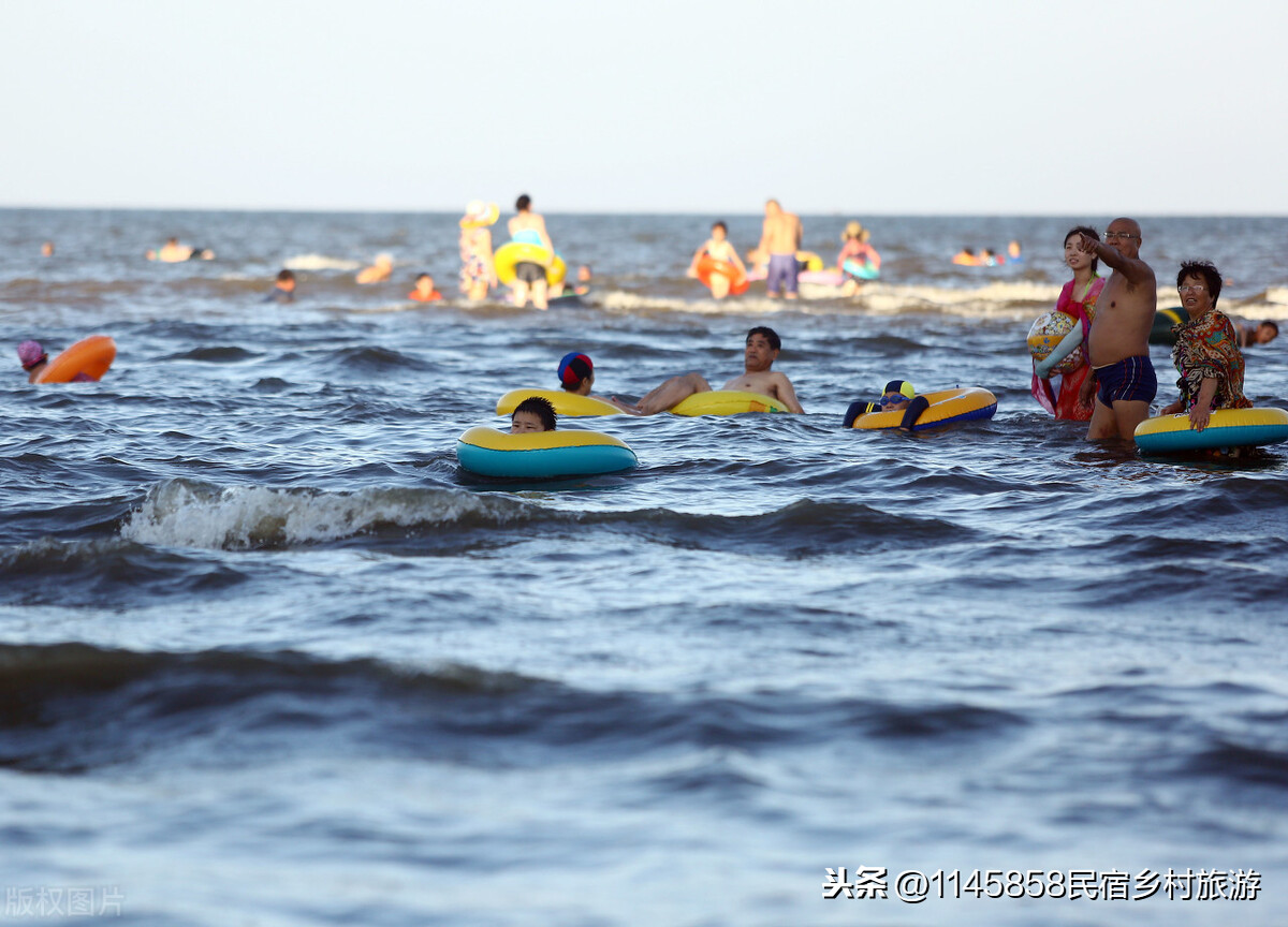 辽宁东戴河哪里能赶海又有美食？杨家小院的海鲜大咖绝对能上榜