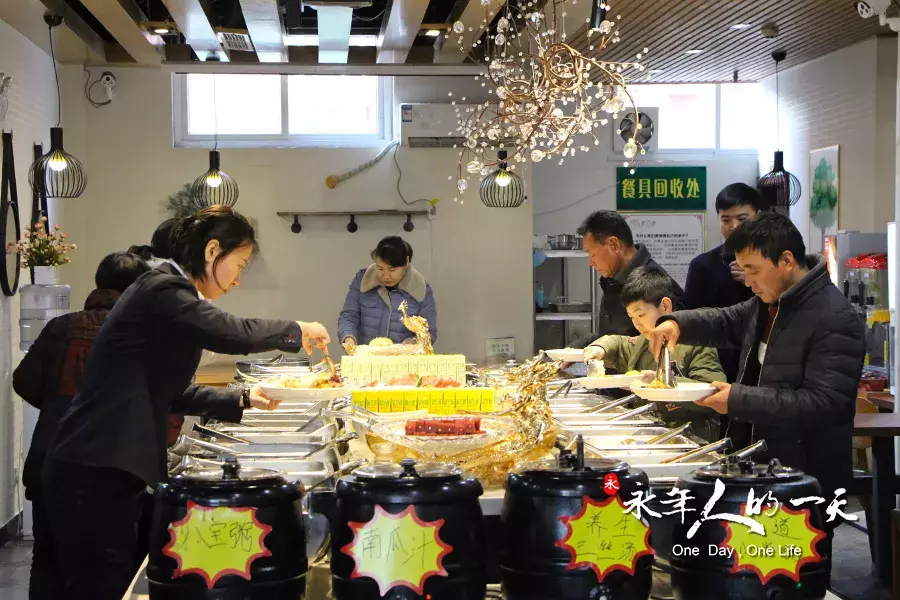 四年素食生活，80后小伙儿开创与众不同的事业｜永年人的一天51期