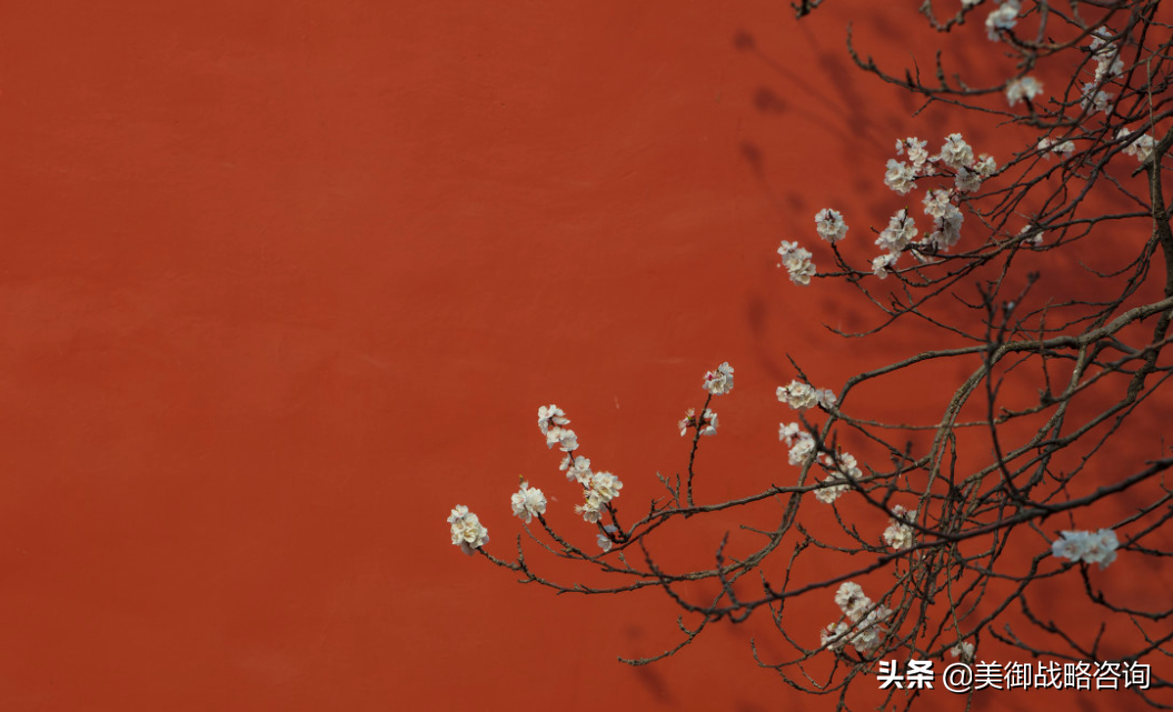 品牌推广策划书怎么写？