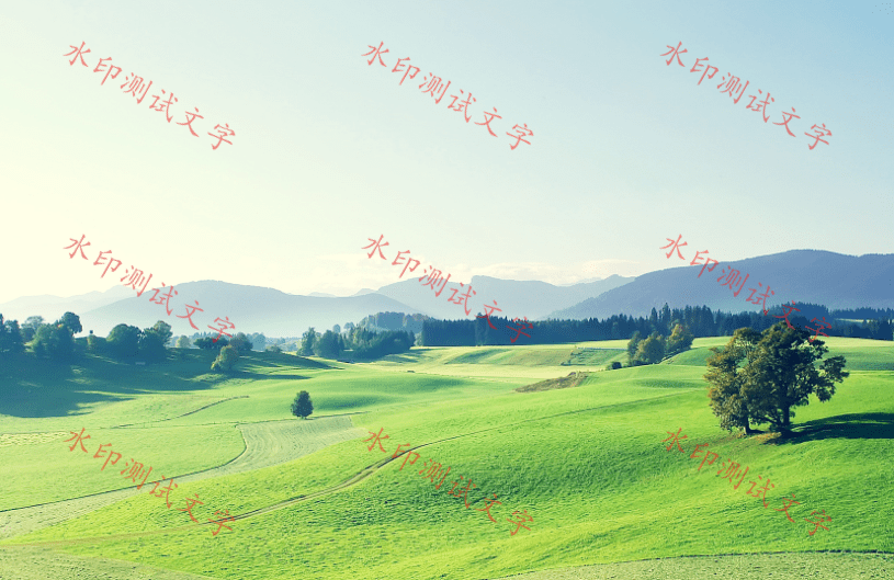 给图片加水印最简单快速的方法