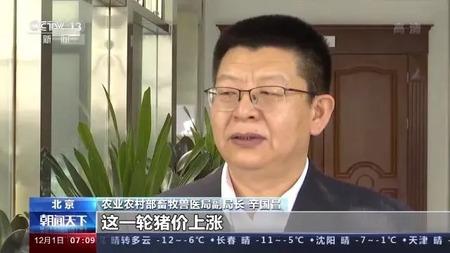 生猪养殖总体告别亏损！不过官方预计猪肉价格继续大幅上涨可能性不大