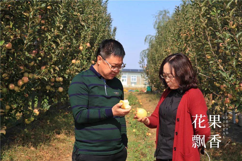 一箱顶三箱，水果品牌运营如何才能挣回9位数的投资？