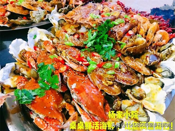 辽宁东戴河哪里能赶海又有美食？杨家小院的海鲜大咖绝对能上榜