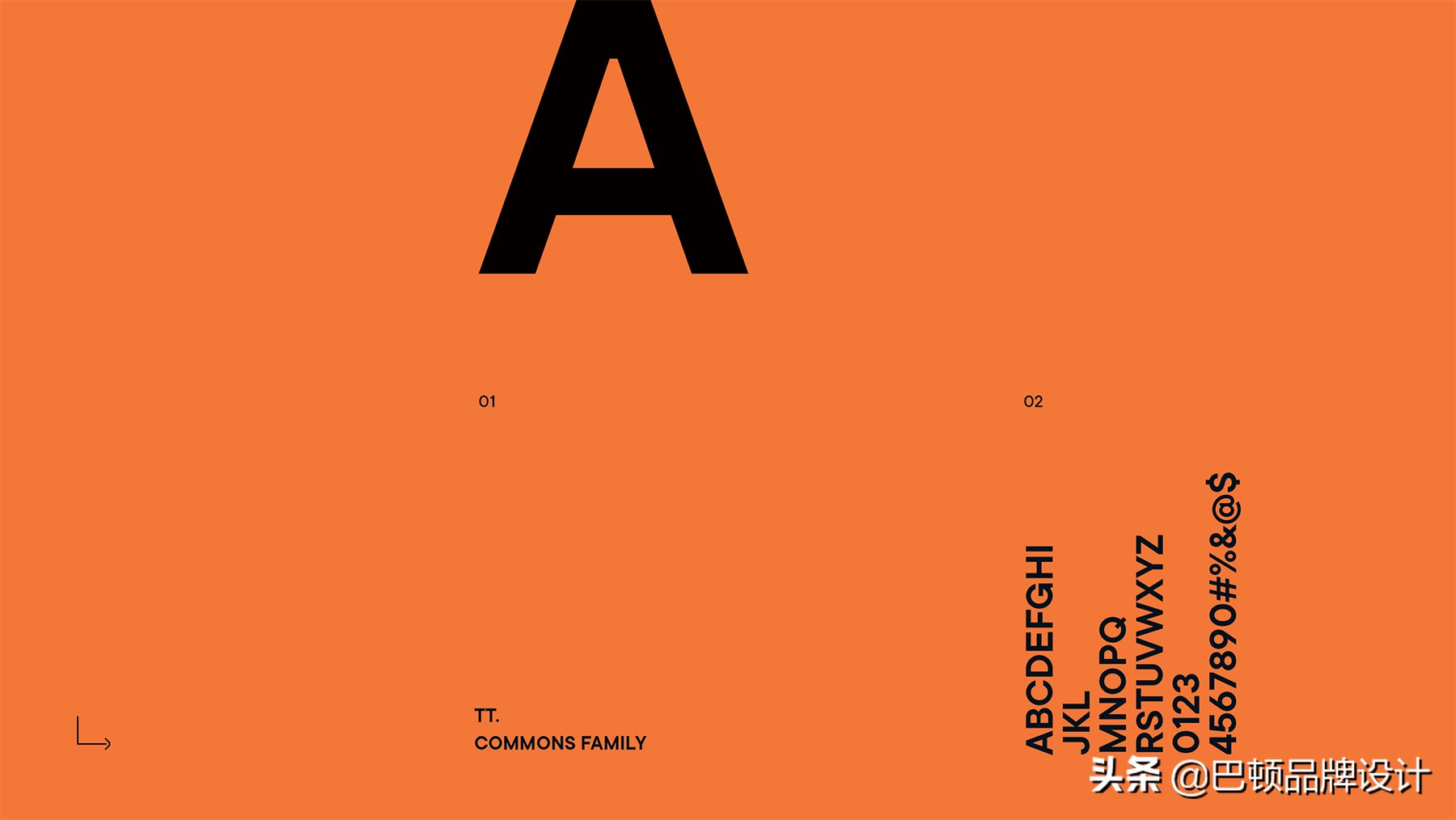 巨豹堂奶茶品牌全案策划设计