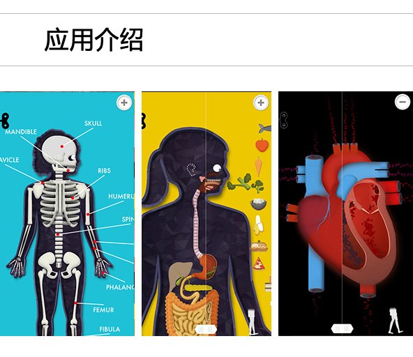 FlightTrack 5:最精美的航班查询应用