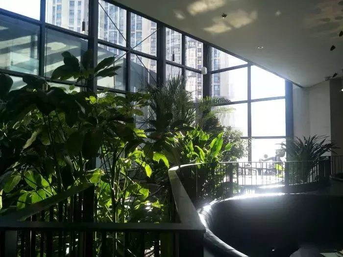 如何花式吃鸡？长春这6家店教你一网打尽！