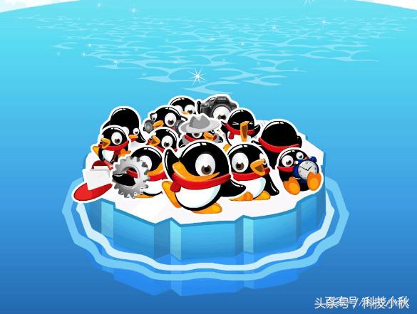 你的QQ号都是从哪里来的呢，QQ号如何才能获得呢