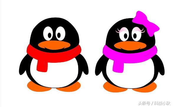 你的QQ号都是从哪里来的呢，QQ号如何才能获得呢