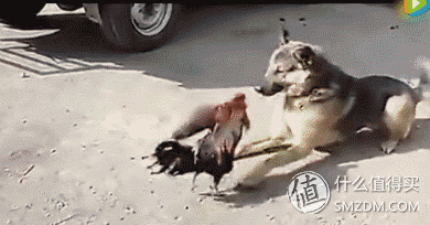 看完这篇网络小白也能搞定家庭无线组网！