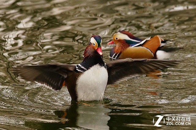 高速度+高像素 索尼全画幅单电A99II评测