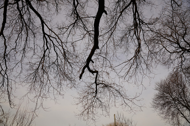 高速度+高像素 索尼全画幅单电A99II评测