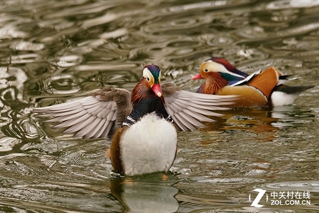 高速度+高像素 索尼全画幅单电A99II评测