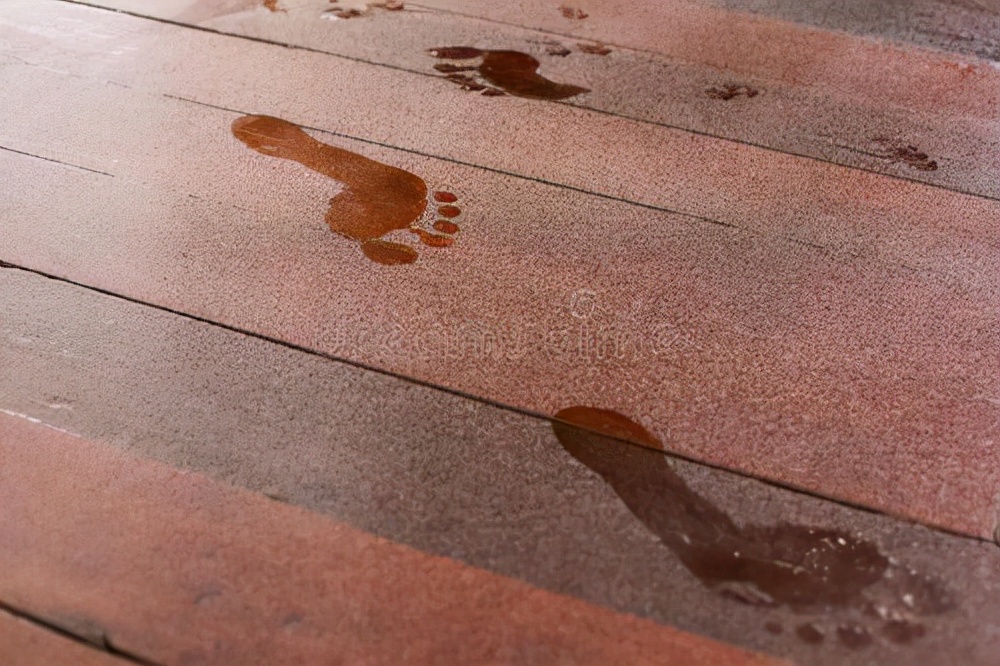 莱克立式吸尘器魔洁M12S—独特立式设计让清洁更轻松