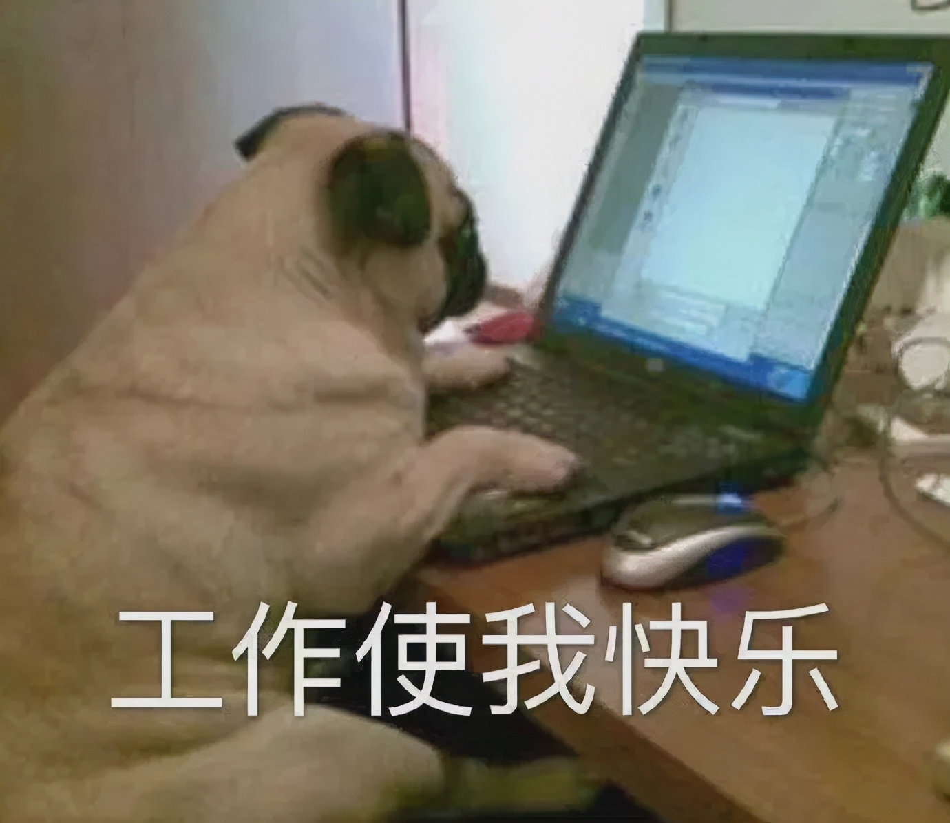 年度抗氧精华究竟花落谁家