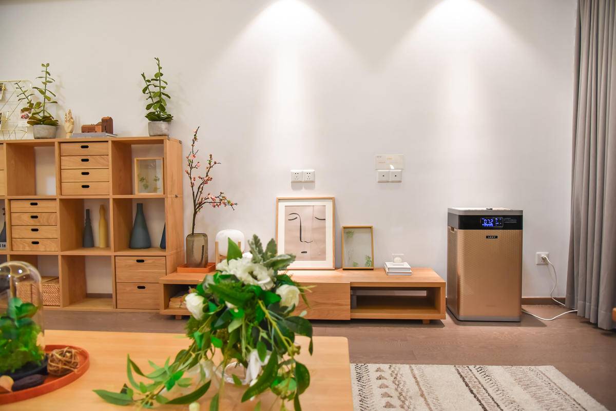 大居室空气净化的福音，实测万元莱克空气净化器，是否值得买？