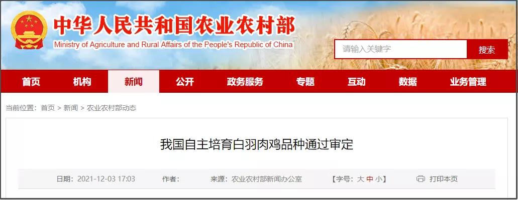 一美元炸鸡，咱中国人也能吃上了？