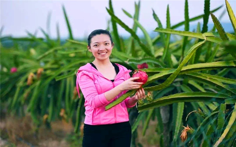 2022年的农村创业领域，会有哪些新机遇、新项目？